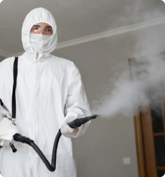 disinfection