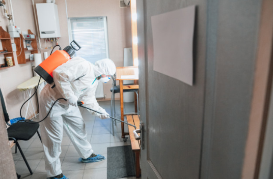 Pest Control in kalba &sharjah