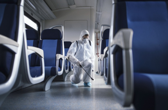 Pest Control in kalba &sharjah