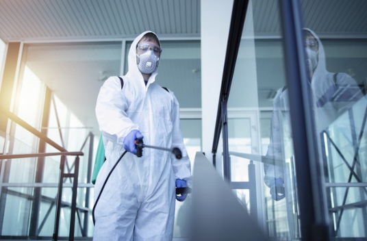 Pest Control in kalba &sharjah