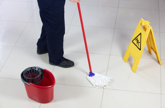 Pest Control in kalba &sharjah