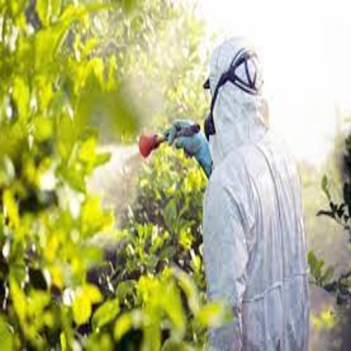  Best fumigation and Pest Control Services in Dubai (Best Price Pest Control Services)Call Now.
            